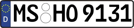 MS-HO9131