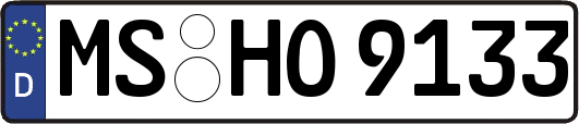 MS-HO9133