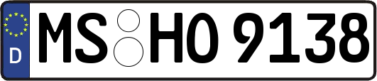 MS-HO9138