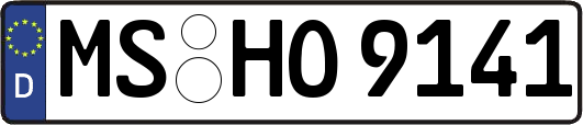 MS-HO9141