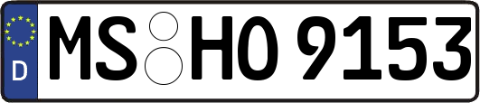 MS-HO9153