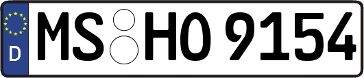 MS-HO9154