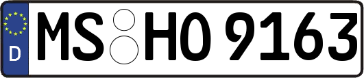 MS-HO9163