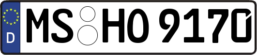 MS-HO9170