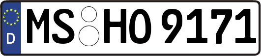 MS-HO9171