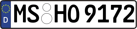 MS-HO9172