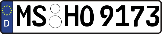 MS-HO9173