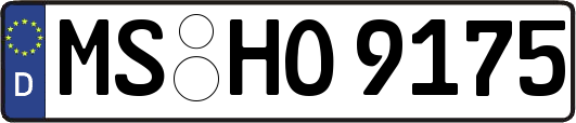 MS-HO9175