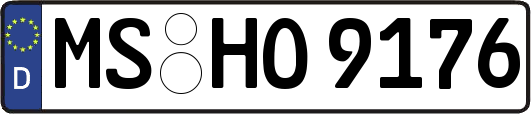 MS-HO9176