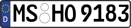 MS-HO9183