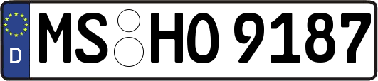 MS-HO9187