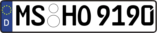 MS-HO9190