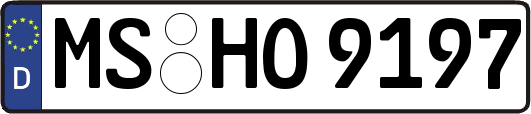 MS-HO9197