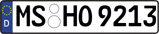 MS-HO9213