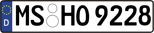 MS-HO9228