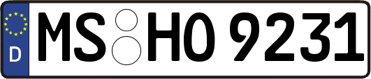 MS-HO9231