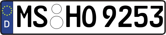 MS-HO9253