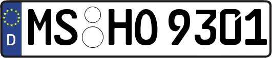 MS-HO9301