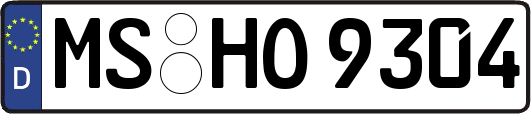 MS-HO9304