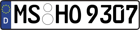 MS-HO9307