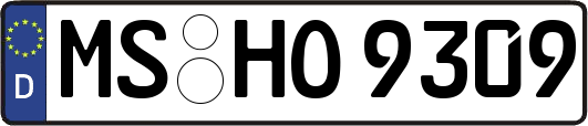 MS-HO9309