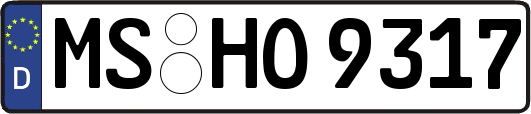 MS-HO9317