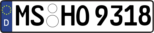 MS-HO9318