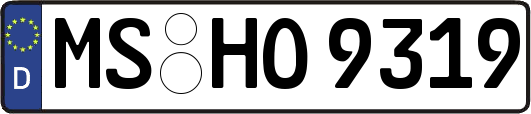 MS-HO9319