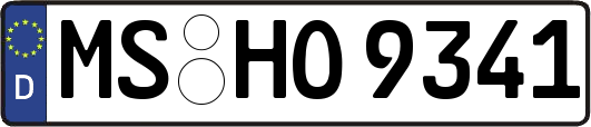 MS-HO9341