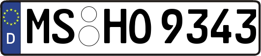 MS-HO9343