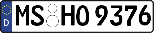 MS-HO9376