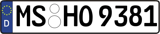 MS-HO9381