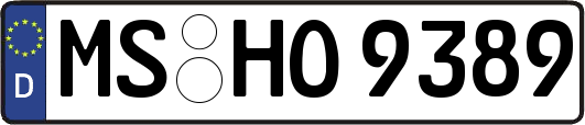 MS-HO9389