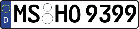 MS-HO9399
