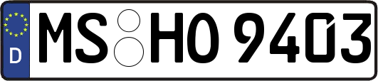 MS-HO9403