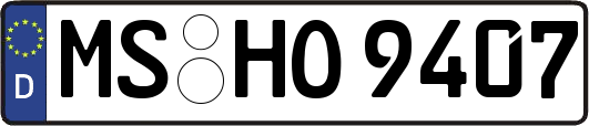 MS-HO9407