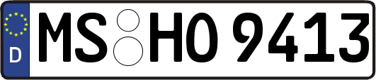 MS-HO9413