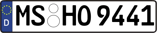 MS-HO9441