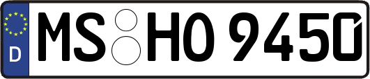 MS-HO9450