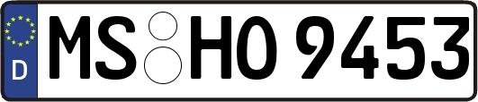 MS-HO9453