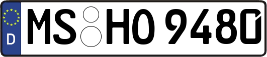 MS-HO9480