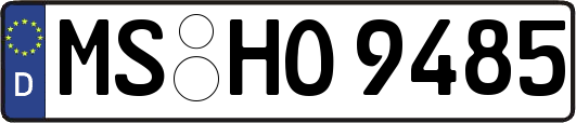 MS-HO9485