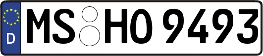 MS-HO9493