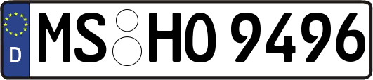 MS-HO9496