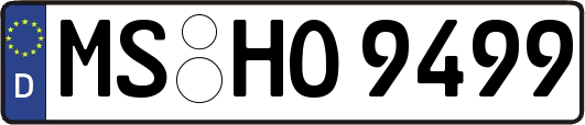 MS-HO9499
