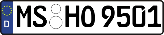 MS-HO9501