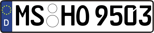 MS-HO9503
