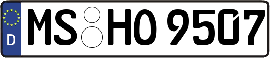 MS-HO9507