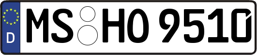 MS-HO9510