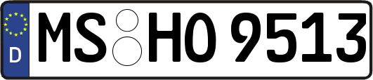 MS-HO9513